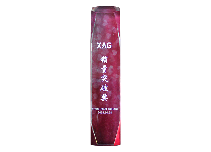 2019極飛銷量突破獎
