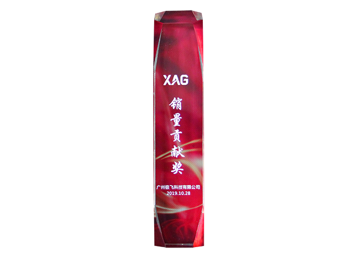 2019極飛銷量貢獻獎